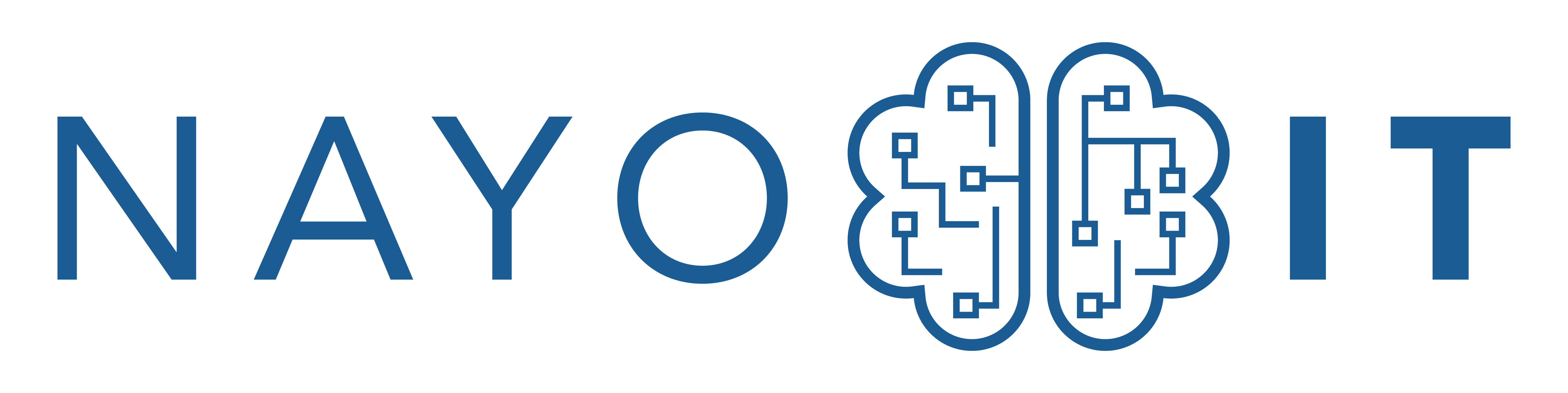 NAYO IT